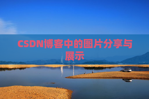 CSDN博客中的图片分享与展示